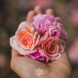 Tenir dans sa main des fleurs, des roses. Prendre soin de son féminin avec tendresse.